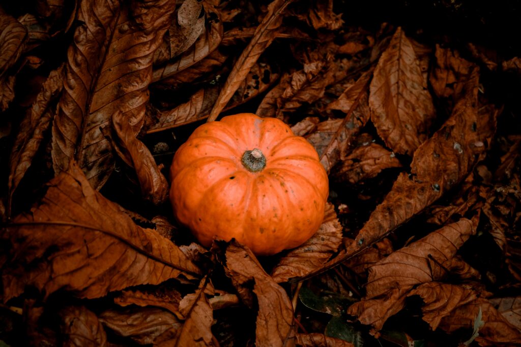pexels-photo-34212872-34212872 Free stock photo of autumn, autumn aesthetic, autumn colours
