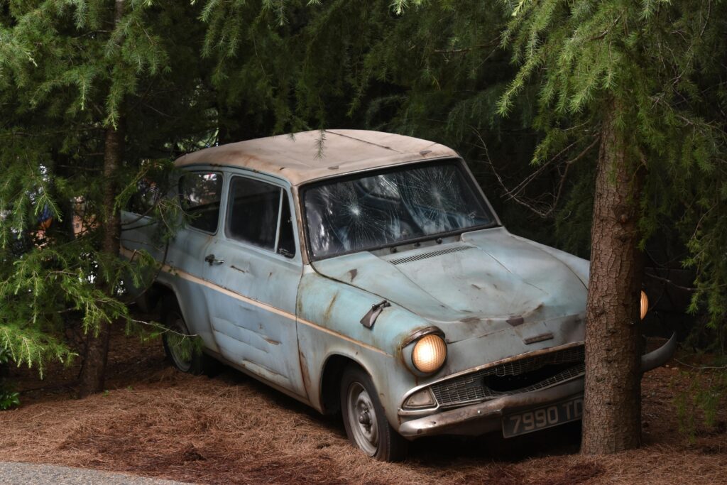 pexels-photo-3767825-3767825 A classic vintage car surrounded by dense forest trees, evoking mystery and nostalgia.